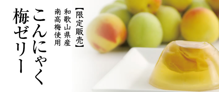 南高梅こんにゃくゼリー5個入×4袋セット その他 ｜ こんにゃく、寒天